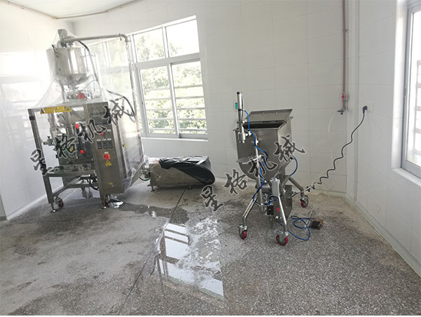 大灣區(qū)食品廠(圖2)